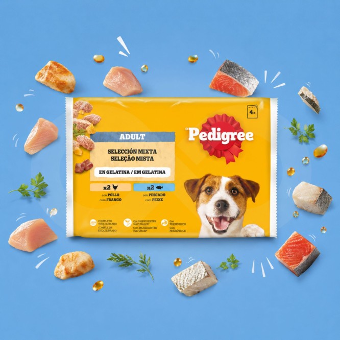 PEDIGREE® Adulte en Gelée Sélection Mixte 4 × 100 g