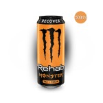 Rehab Recover Peach Rehab Recover Peach