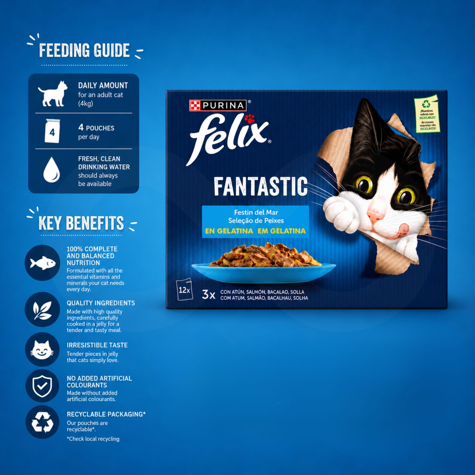 PURINA® FELIX Fantastic Selección de Pescados 12x85g