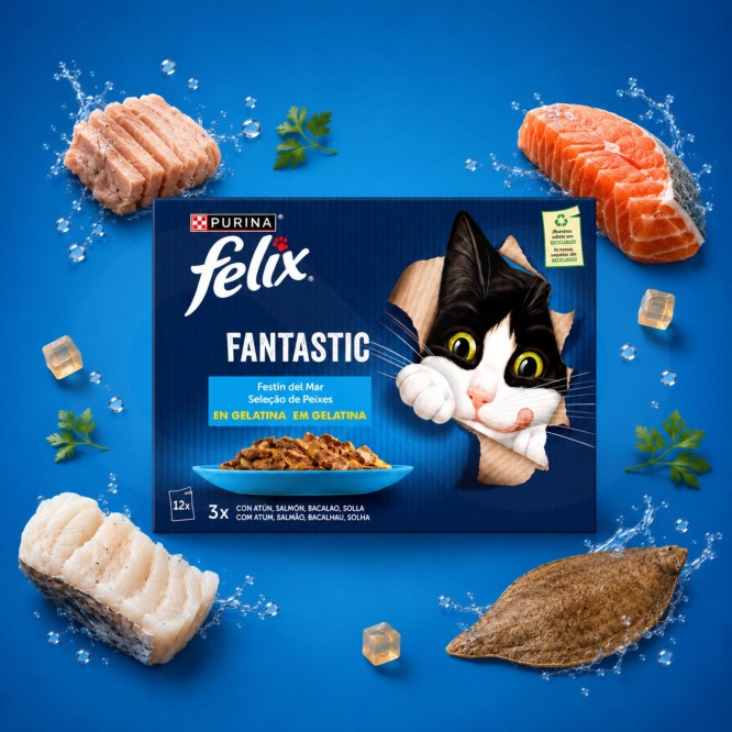 PURINA® FELIX Fantastic Selección de Pescados 12x85g