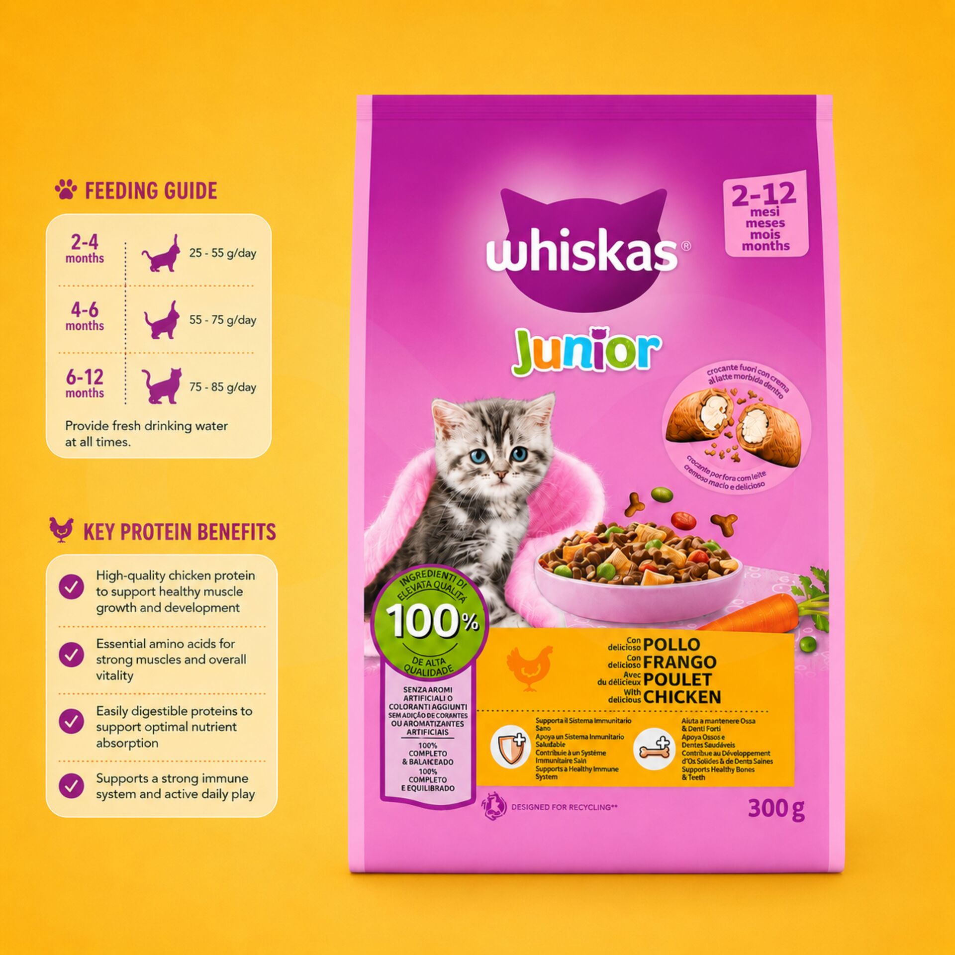 WHISKAS® Alimento Secco Junior al Pollo 300g