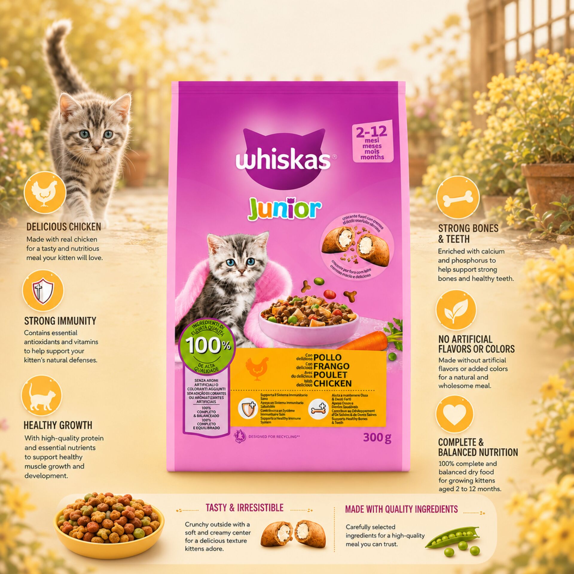 WHISKAS® Alimento Secco Junior al Pollo 300g