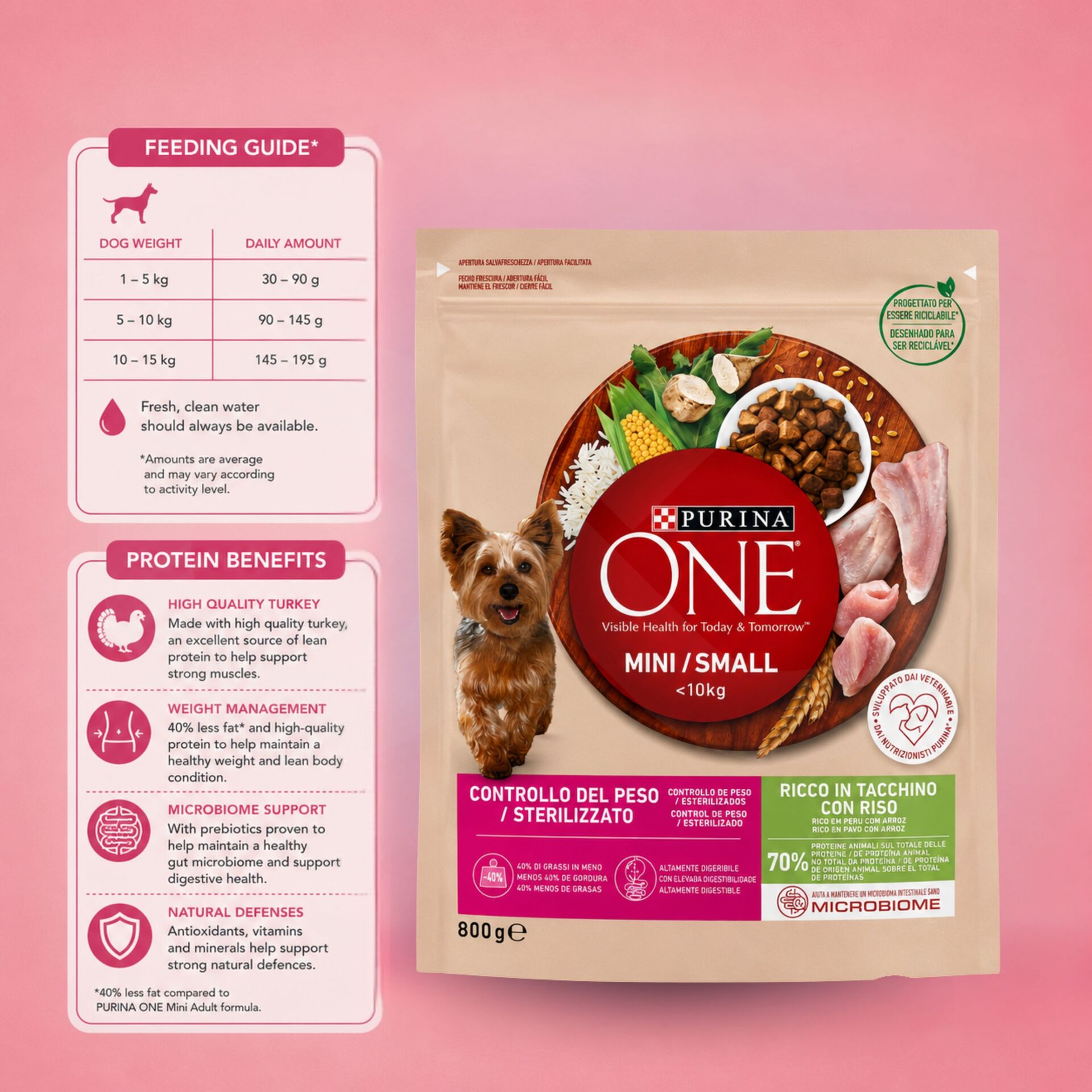 PURINAź ONE Kontrola Wagi Mini Indyk 800g