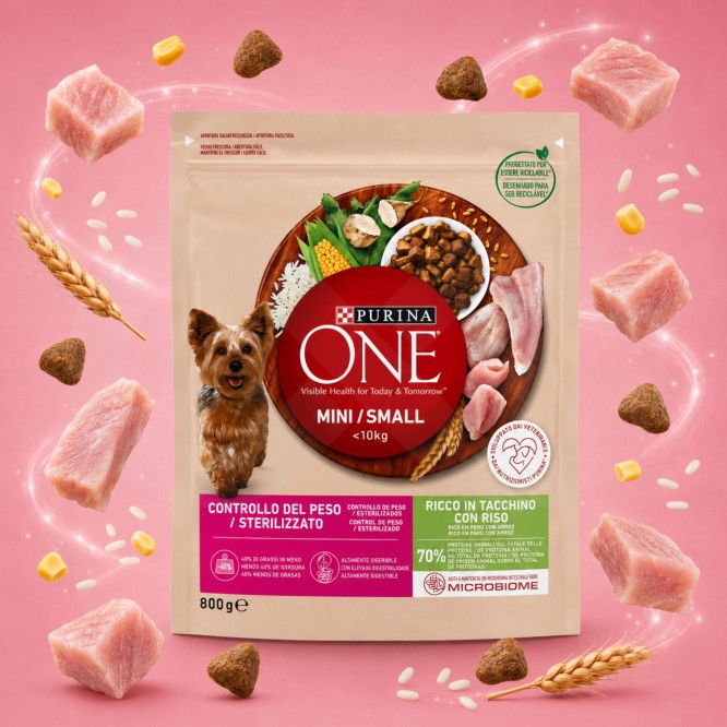 PURINAź ONE Kontrola Wagi Mini Indyk 800g