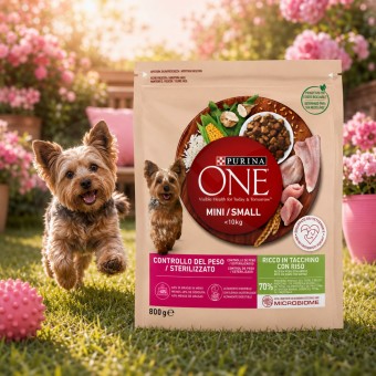 PURINAź ONE Kontrola Wagi Mini Indyk 800g