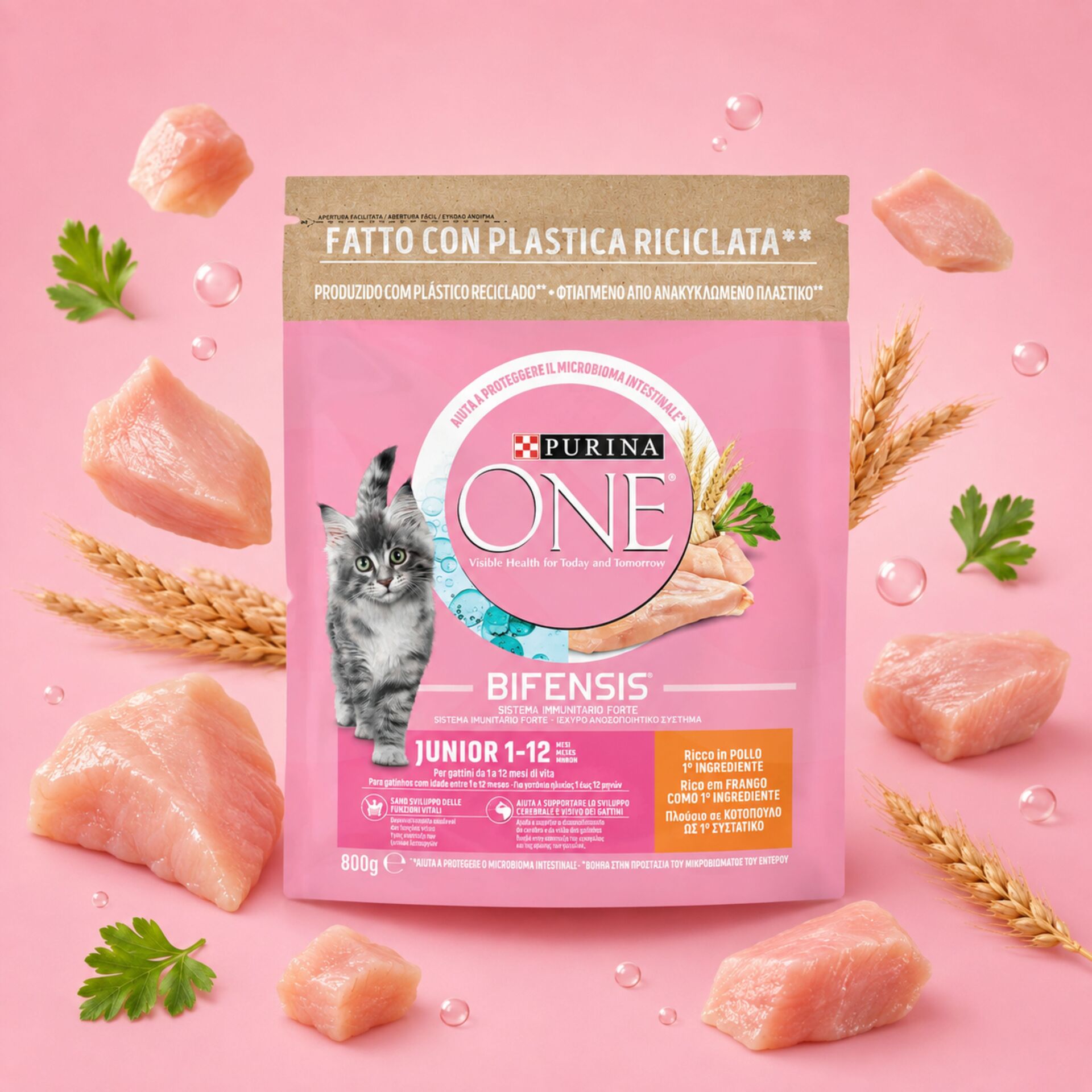 PURINA® ONE Bifensis Junior Frango 800g