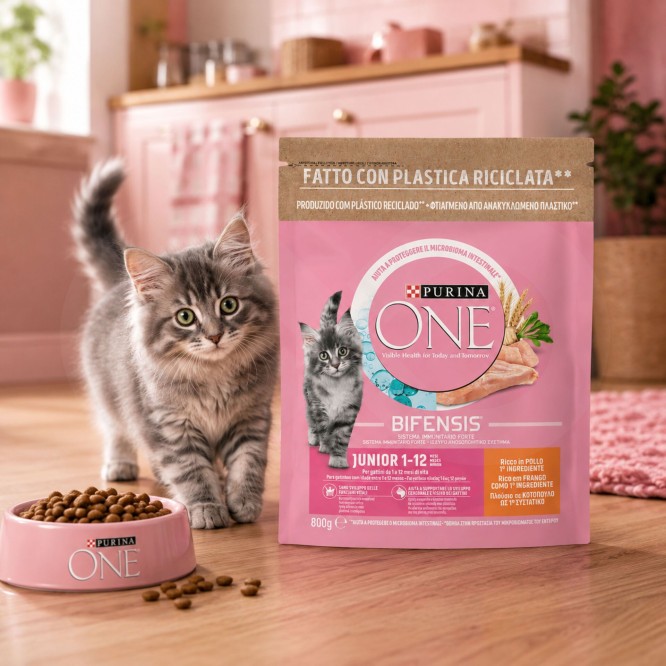 PURINA® ONE Bifensis Junior Frango 800g