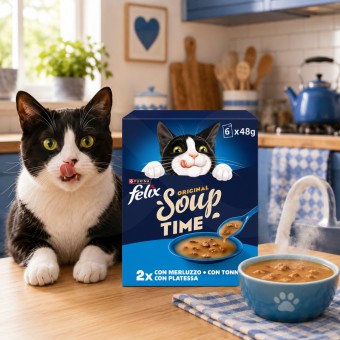 PURINAź FELIX Original Soup Time Ryby 6x48g