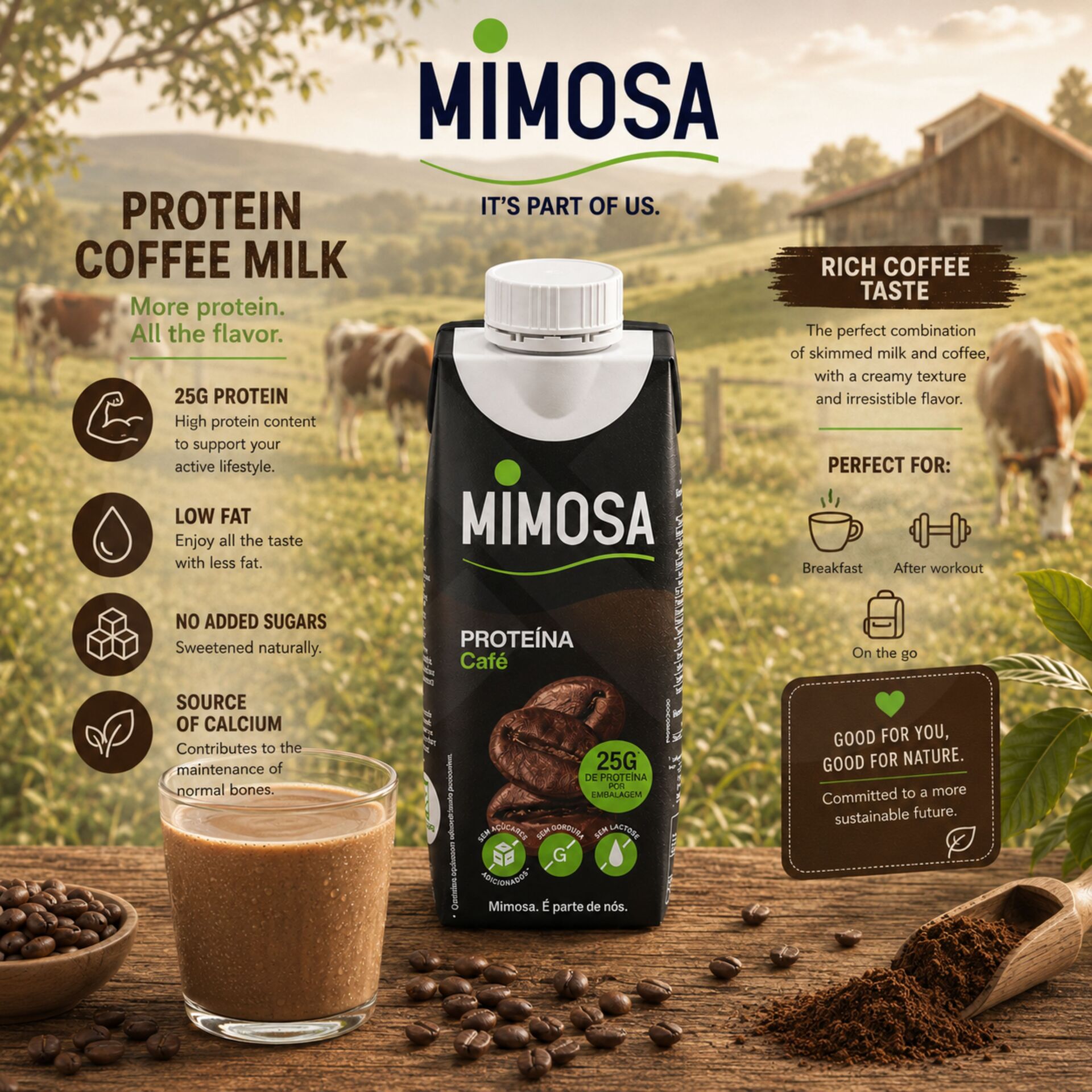MIMOSA® Leite Magro Proteína de Café 250ml