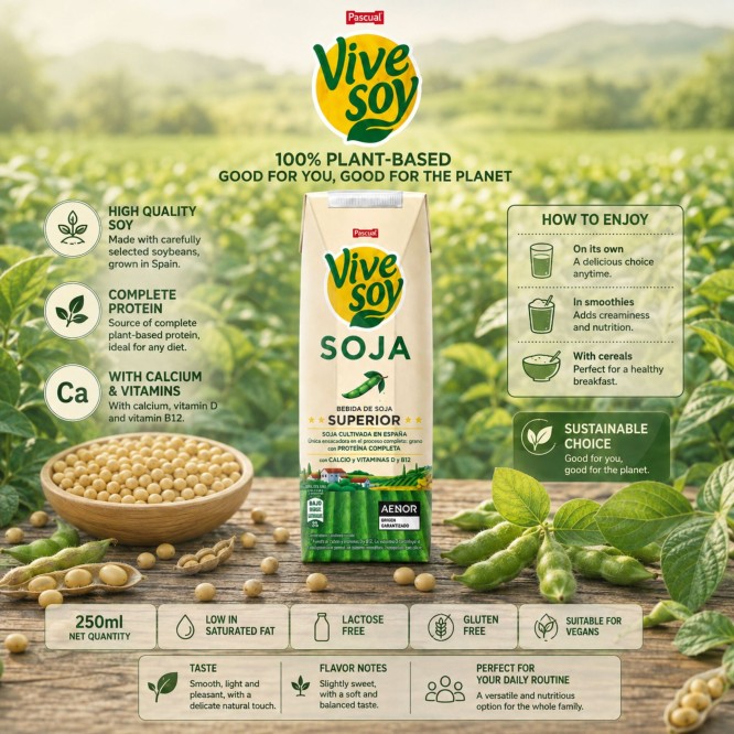 VIVE SOY� Bebida de Soja 250ml