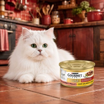 PURINA® Gourmet Gold Trozos de Salmón y Pollo 85g