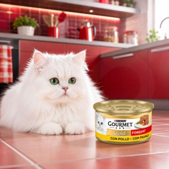 PURINAŽ Gourmet Gold Fondant met Kip 85g