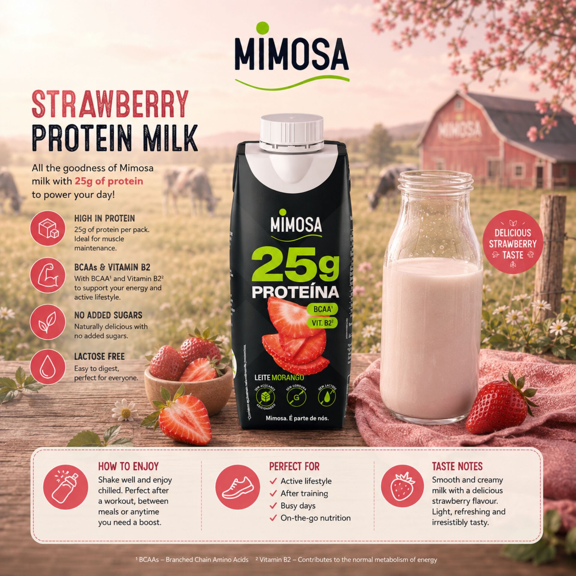 MIMOSA® Leite Magro Proteína de Morango 250ml