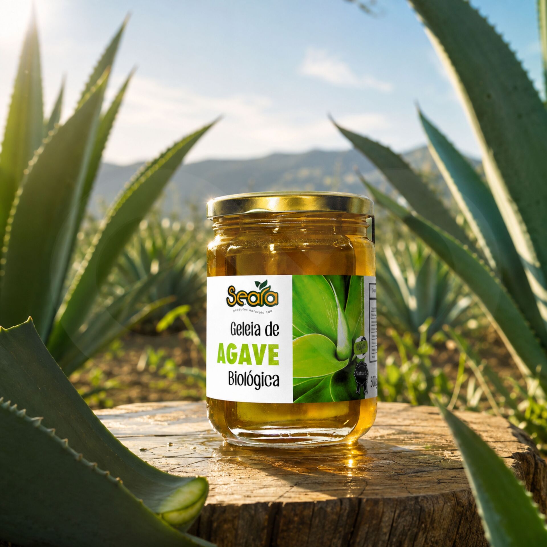 SEARAź Ekologiczny Syrop z Agawy 500gr