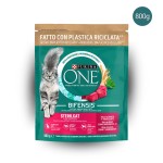 Bifensis Sterilcat Bifensis Sterilcat
