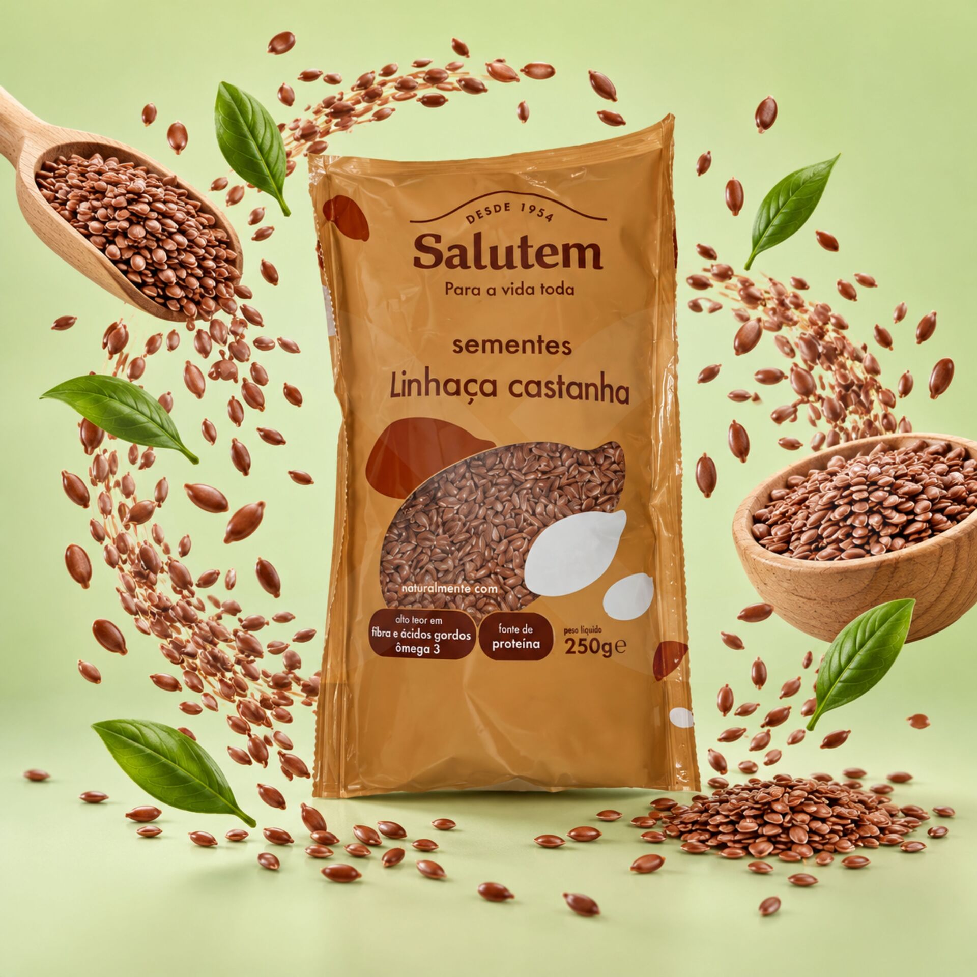 SALUTEM® Semi di Lino Marrone 250g