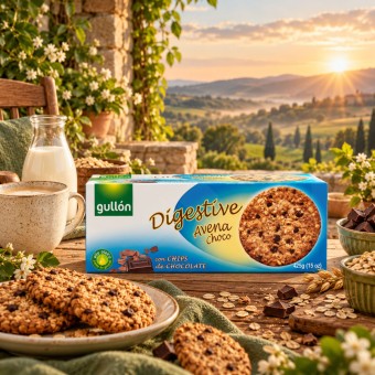 GULLÓN® Oat and Chocolate Digestive Biscuits 425g